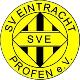 SV Eintracht Profen
